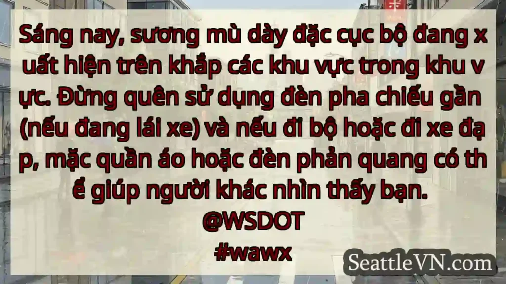 Sáng nay, sương mù dày đặc cục bộ đang xuất hiện