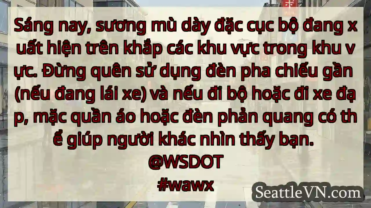 Sáng nay, sương mù dày đặc cục bộ đang xuất hiện