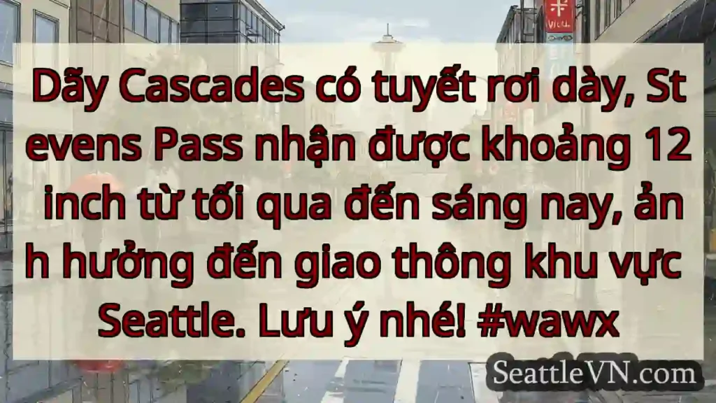Tuyết rơi dày! Lưu ý giao thông Seattle.