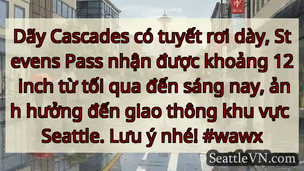 Tuyết rơi dày! Lưu ý giao thông Seattle.