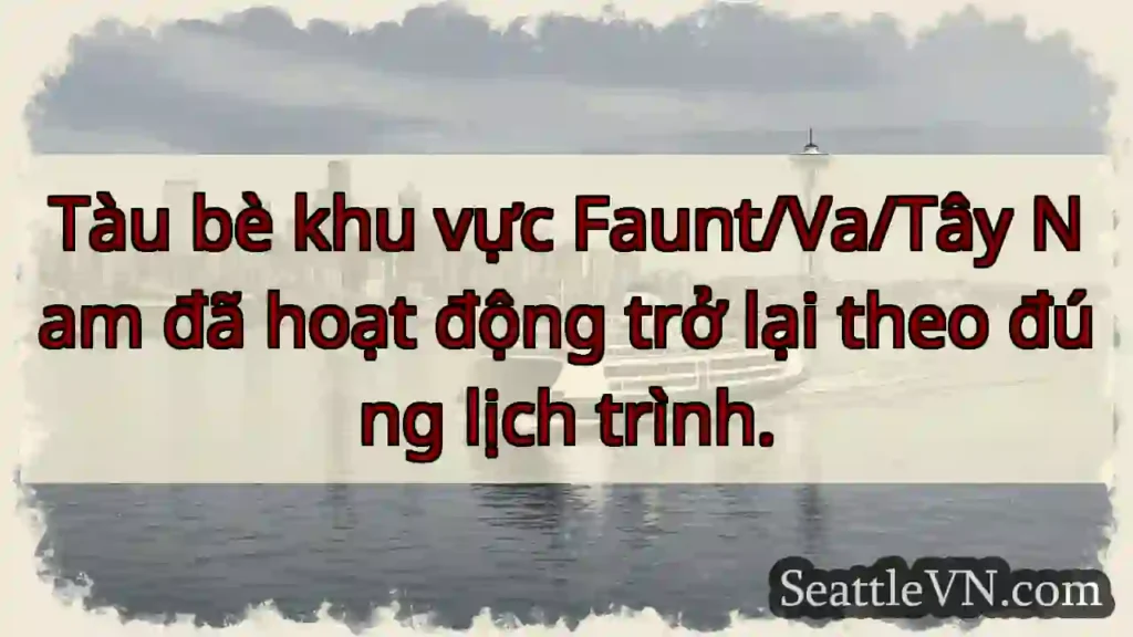 Tàu bè hoạt động trở lại!