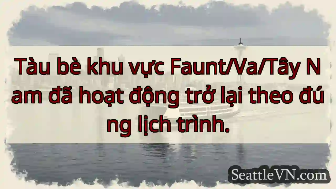 Tàu bè hoạt động trở lại!
