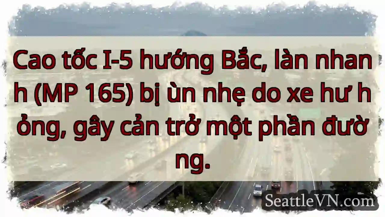 Ùn nhẹ I-5 Bắc (MP 165). Xe hư!