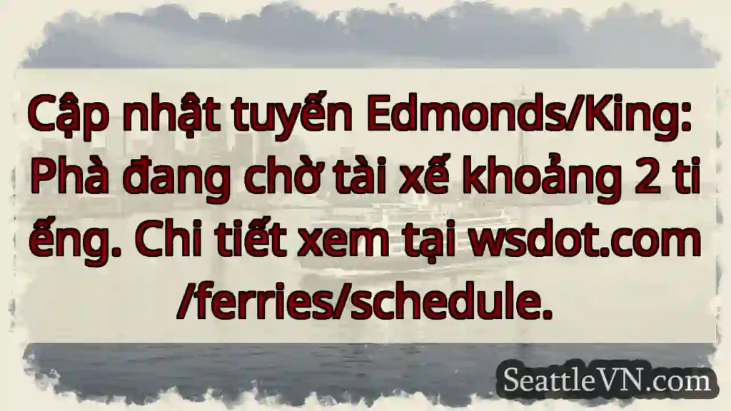 Chờ phà! 2 tiếng chờ lái.