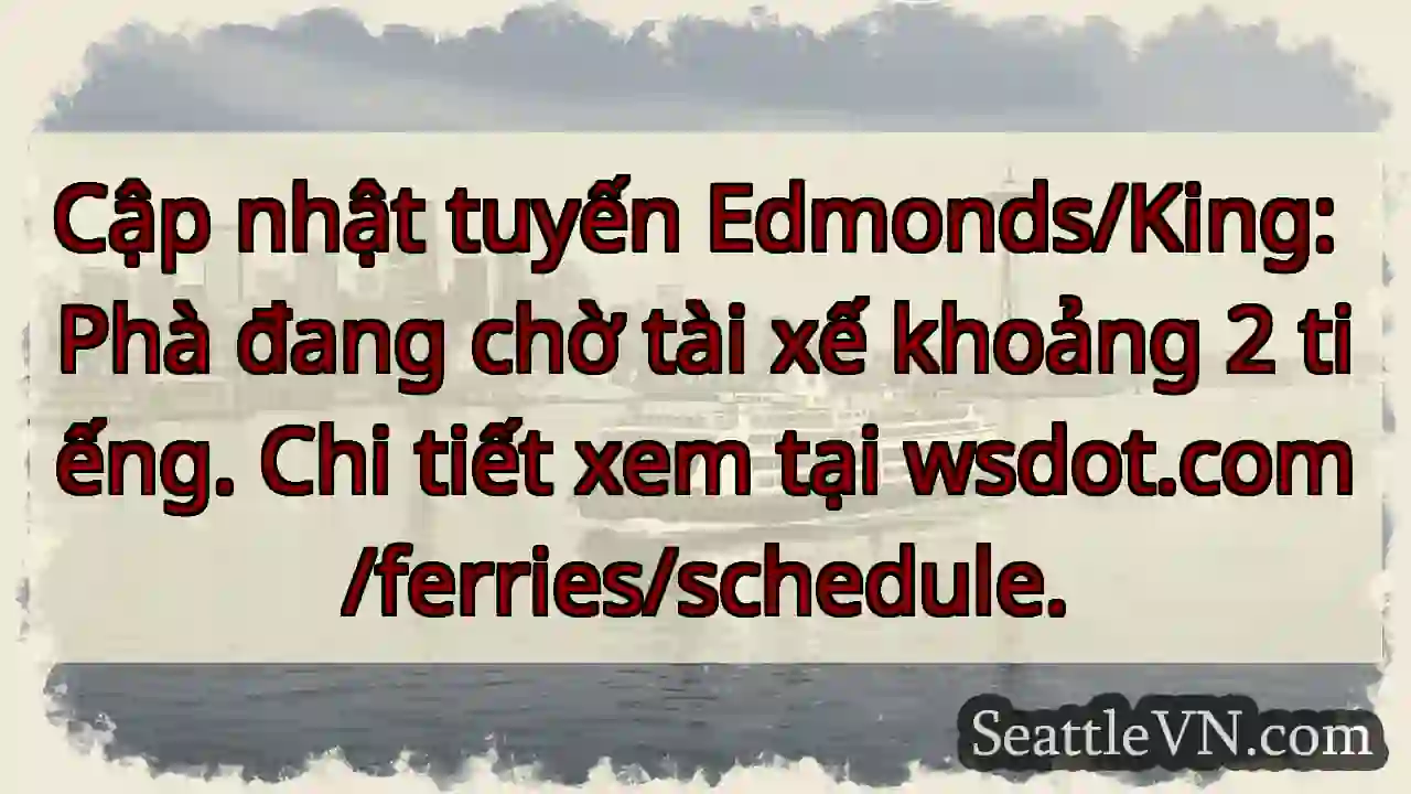 Chờ phà! 2 tiếng chờ lái.