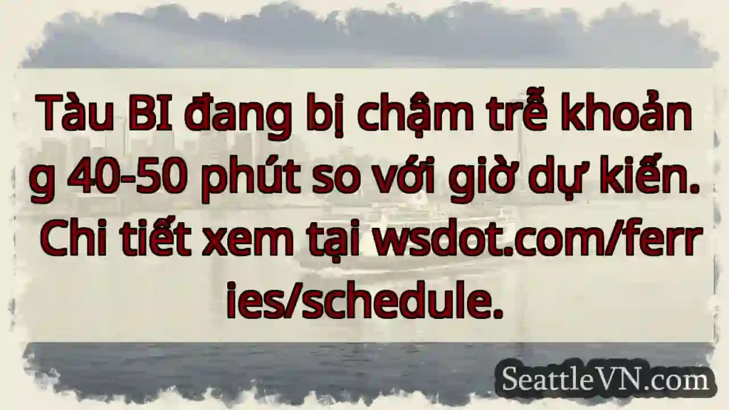 Tàu BI: Chậm trễ 40-50 phút!