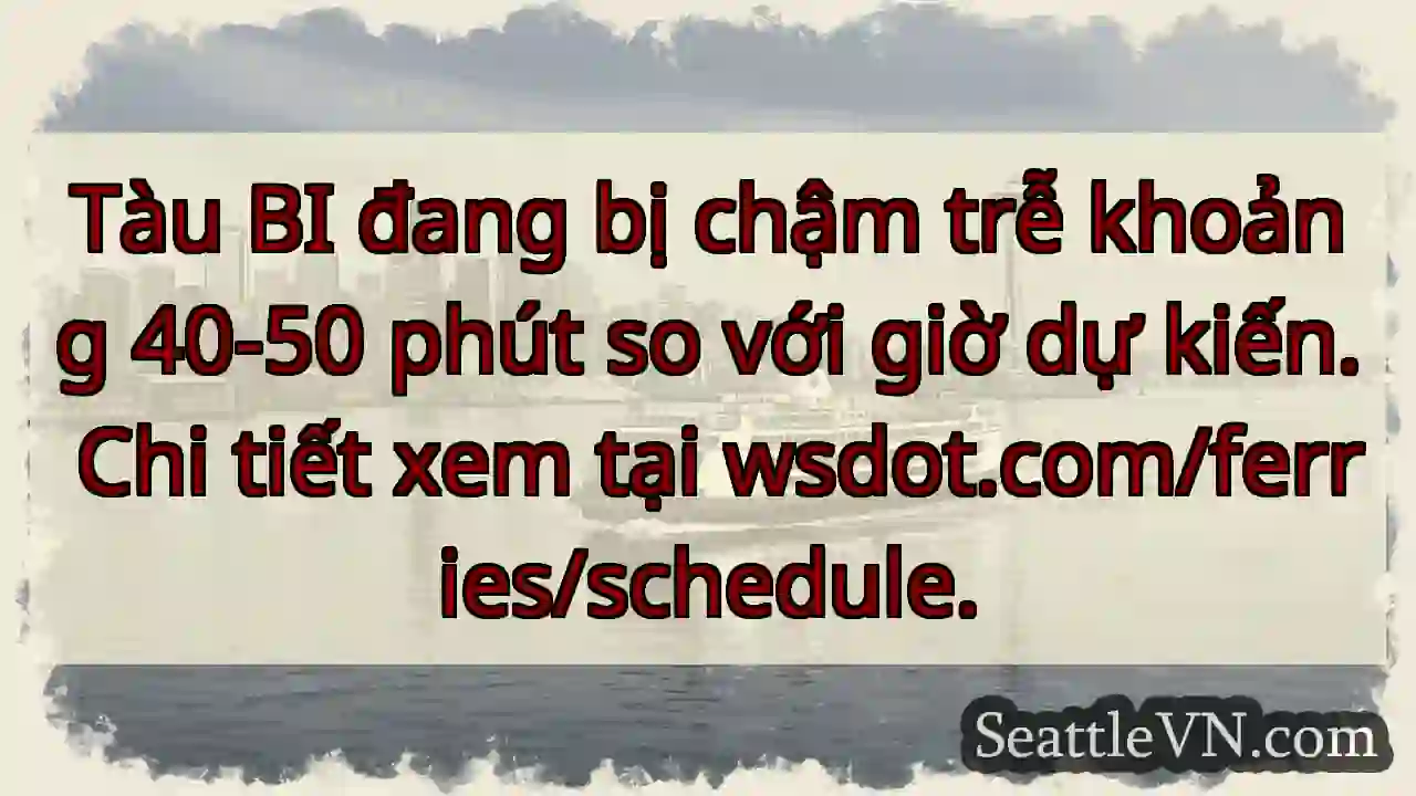 Tàu BI: Chậm trễ 40-50 phút!