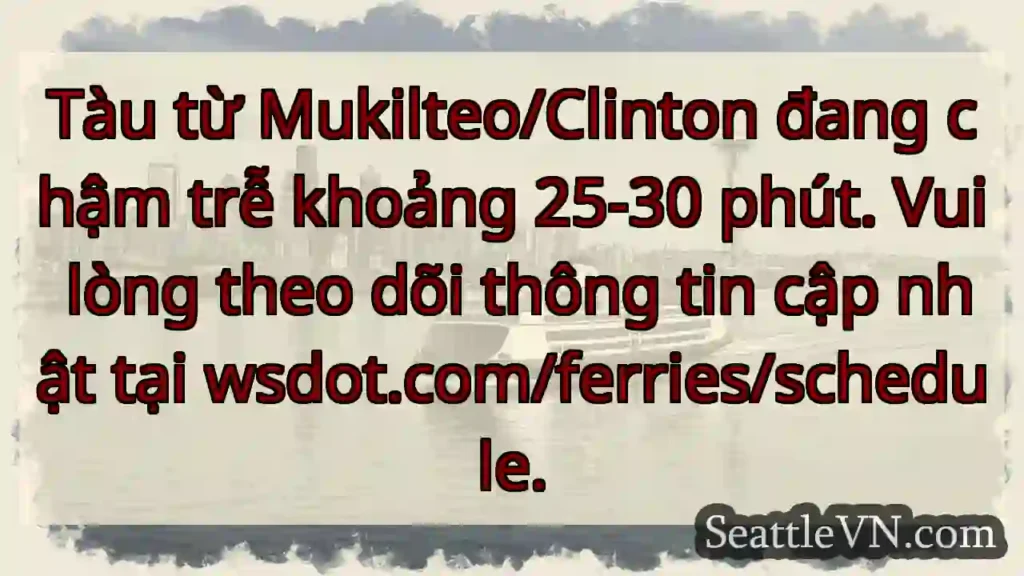 Tàu chậm 25-30 phút! ⛴️