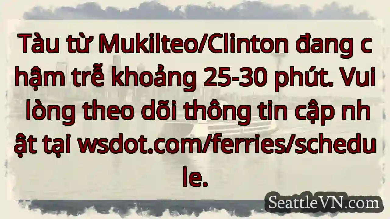 Tàu chậm 25-30 phút! ⛴️