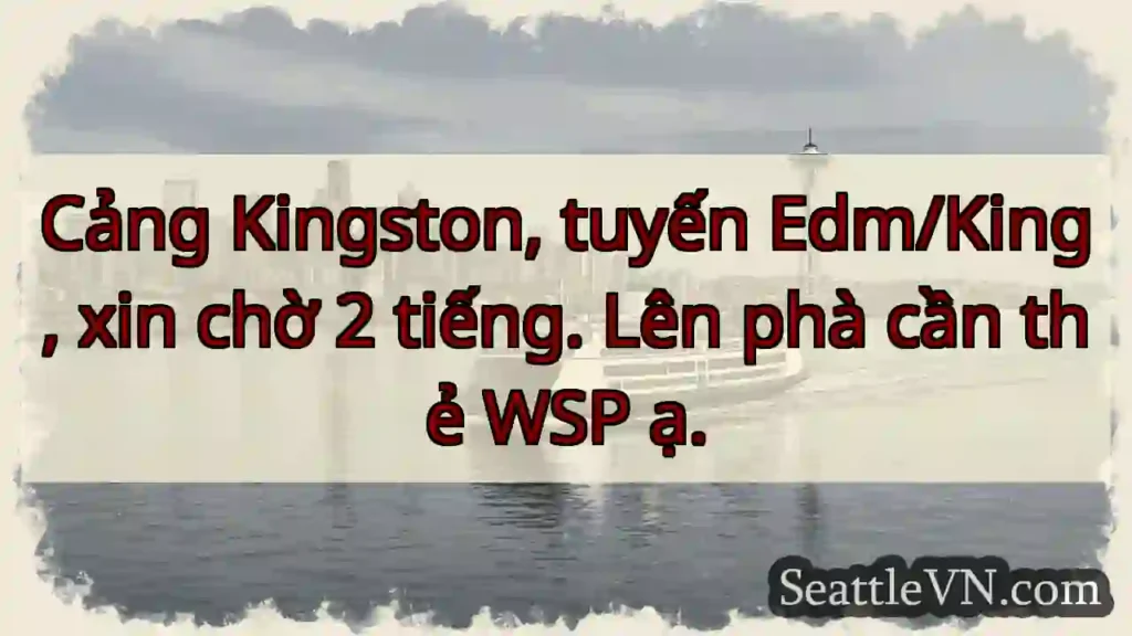 Chờ 2 tiếng! Cần thẻ WSP phà.