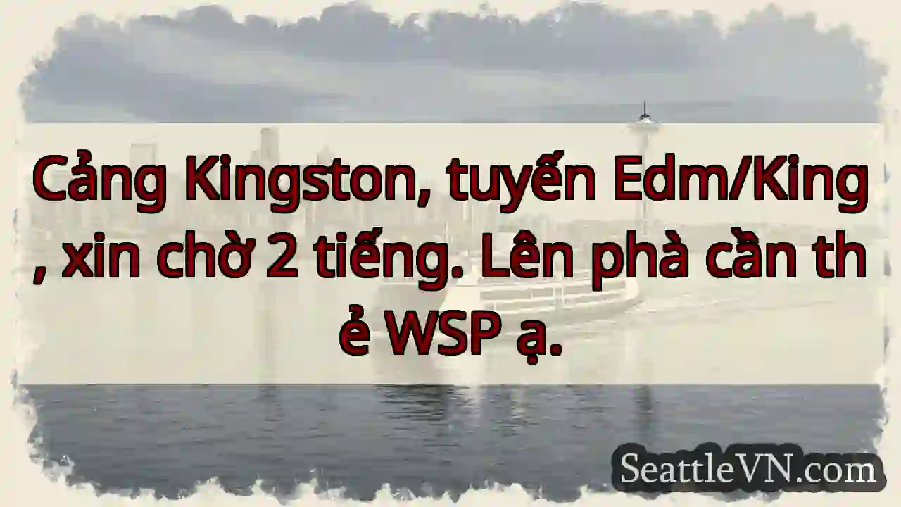 Chờ 2 tiếng! Cần thẻ WSP phà.