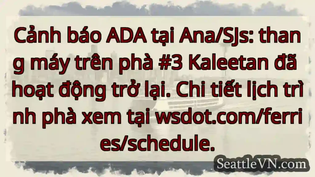 Thang máy Kaleetan hoạt động trở lại!
