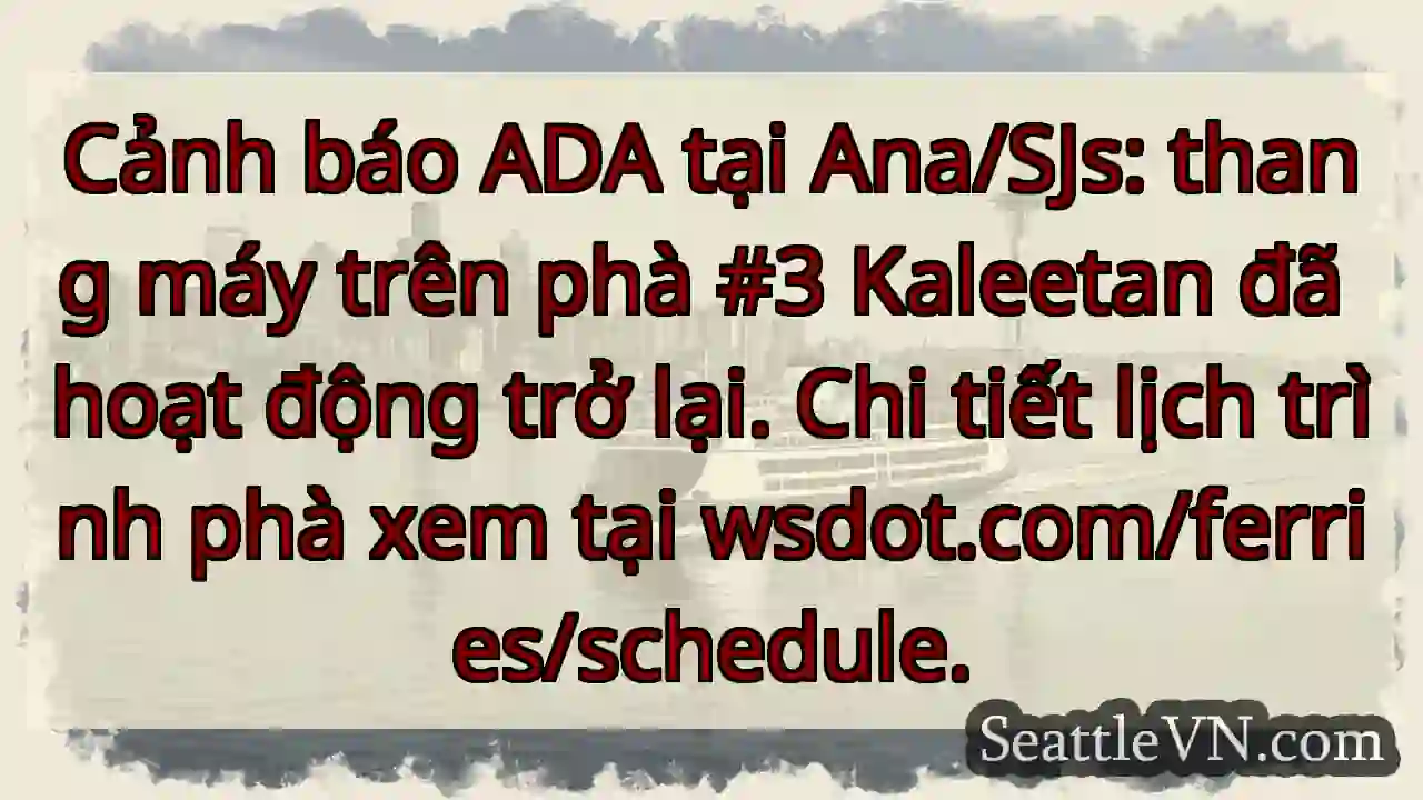 Thang máy Kaleetan hoạt động trở lại!