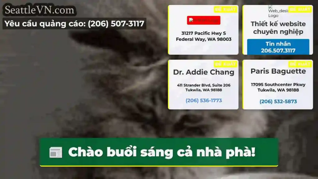 Chào buổi sáng cả nhà phà!