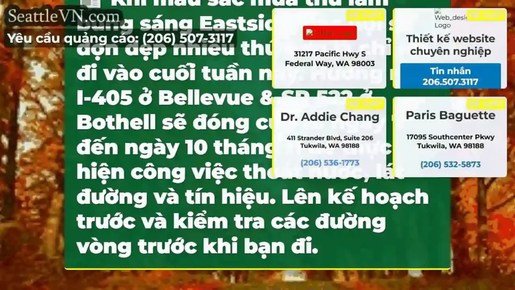 Khi màu sắc mùa thu làm bừng sáng Eastside, các