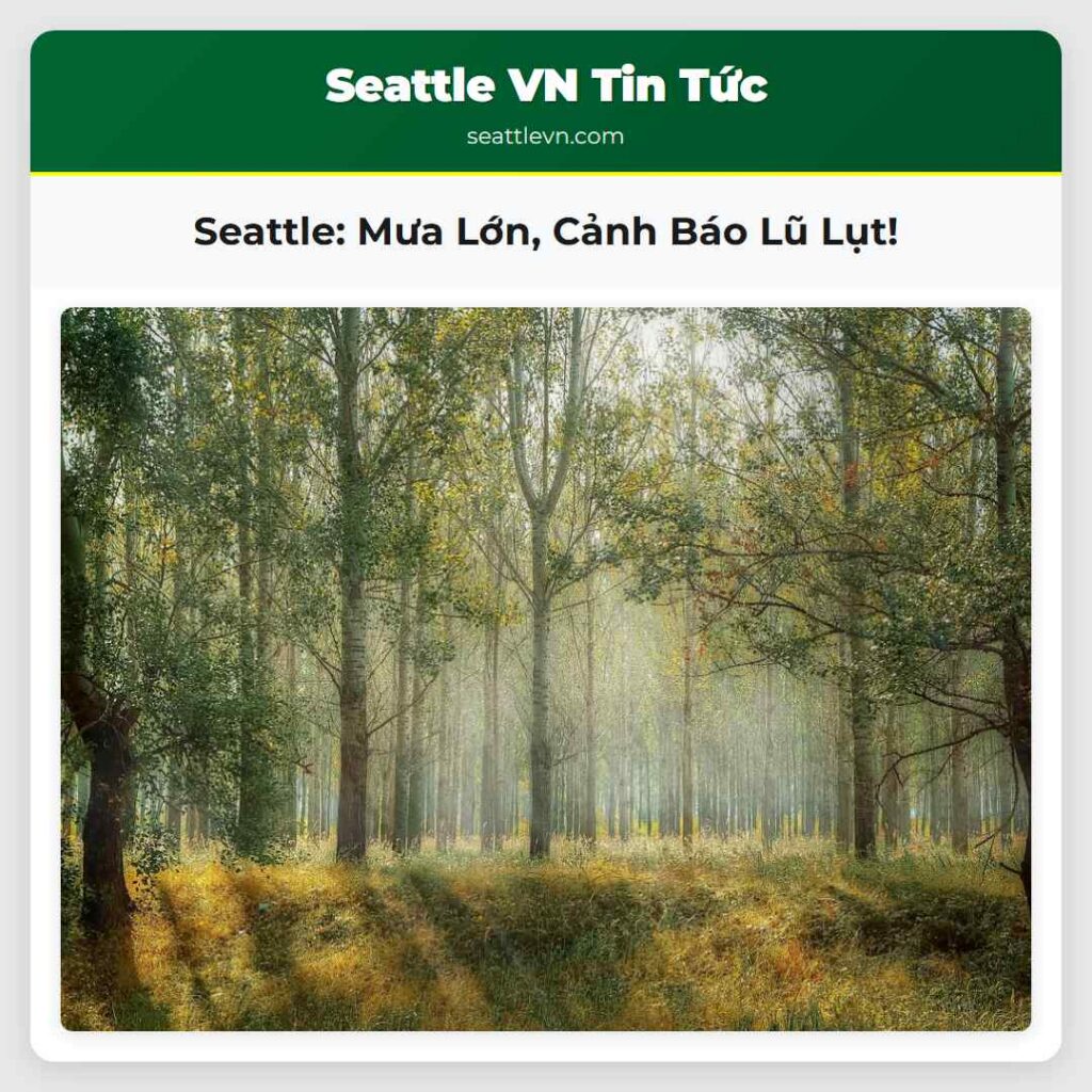 Seattle: Mưa Lớn, Cảnh Báo Lũ Lụt!