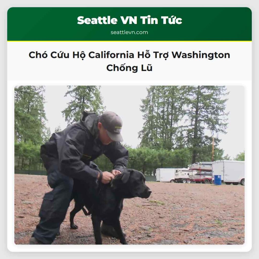 Chó Cứu Hộ California Hỗ Trợ Washington Chống Lũ
