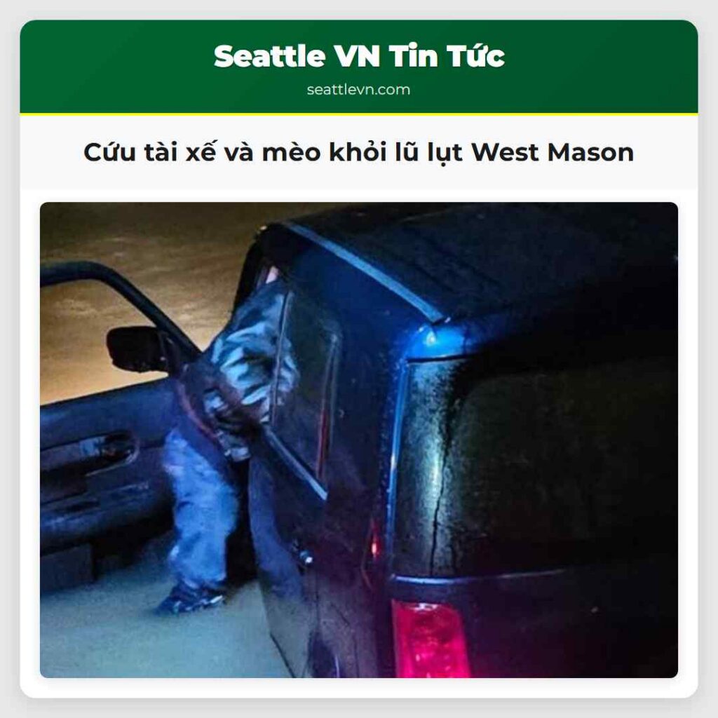 Cứu tài xế và mèo khỏi lũ lụt West Mason