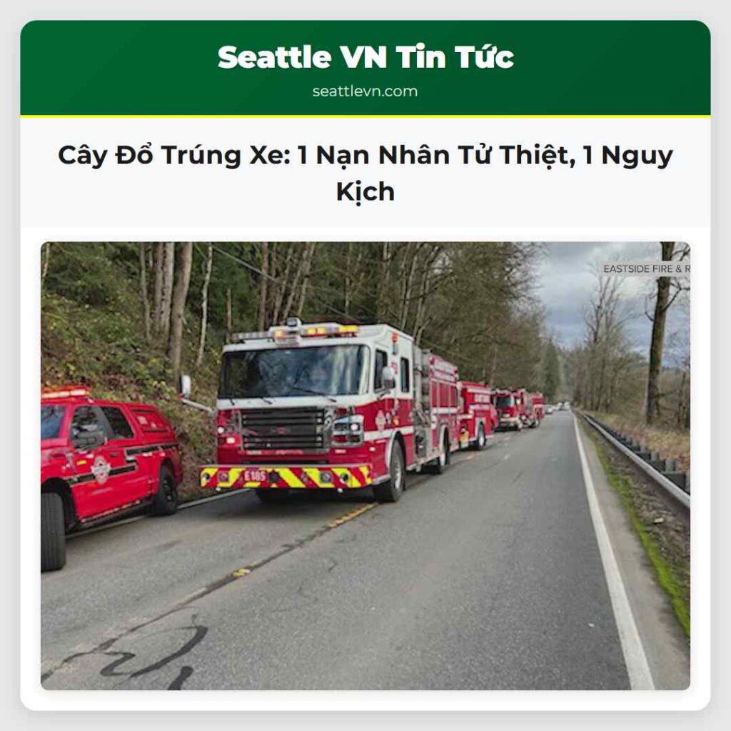 Cây Đổ Trúng Xe: 1 Nạn Nhân Tử Thiệt, 1 Nguy Kịch