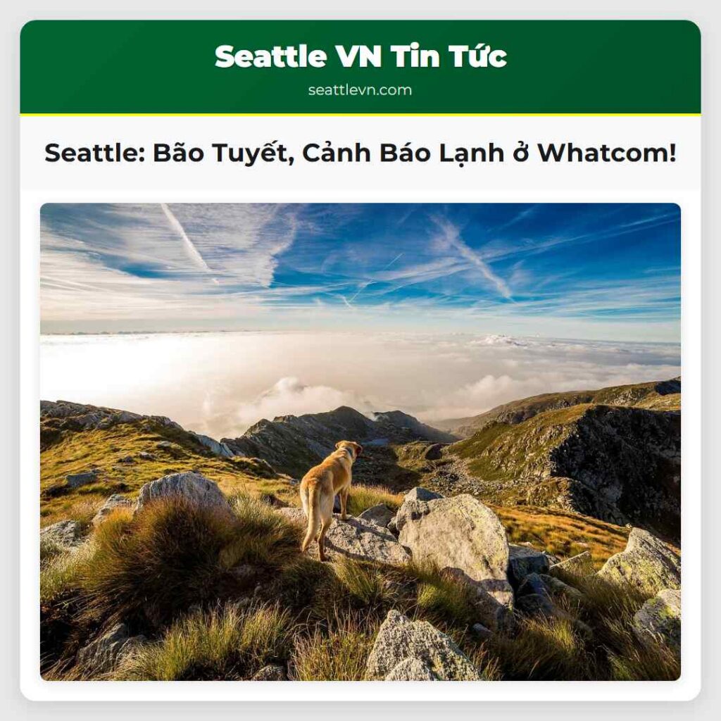 Seattle: Bão Tuyết, Cảnh Báo Lạnh ở Whatcom!
