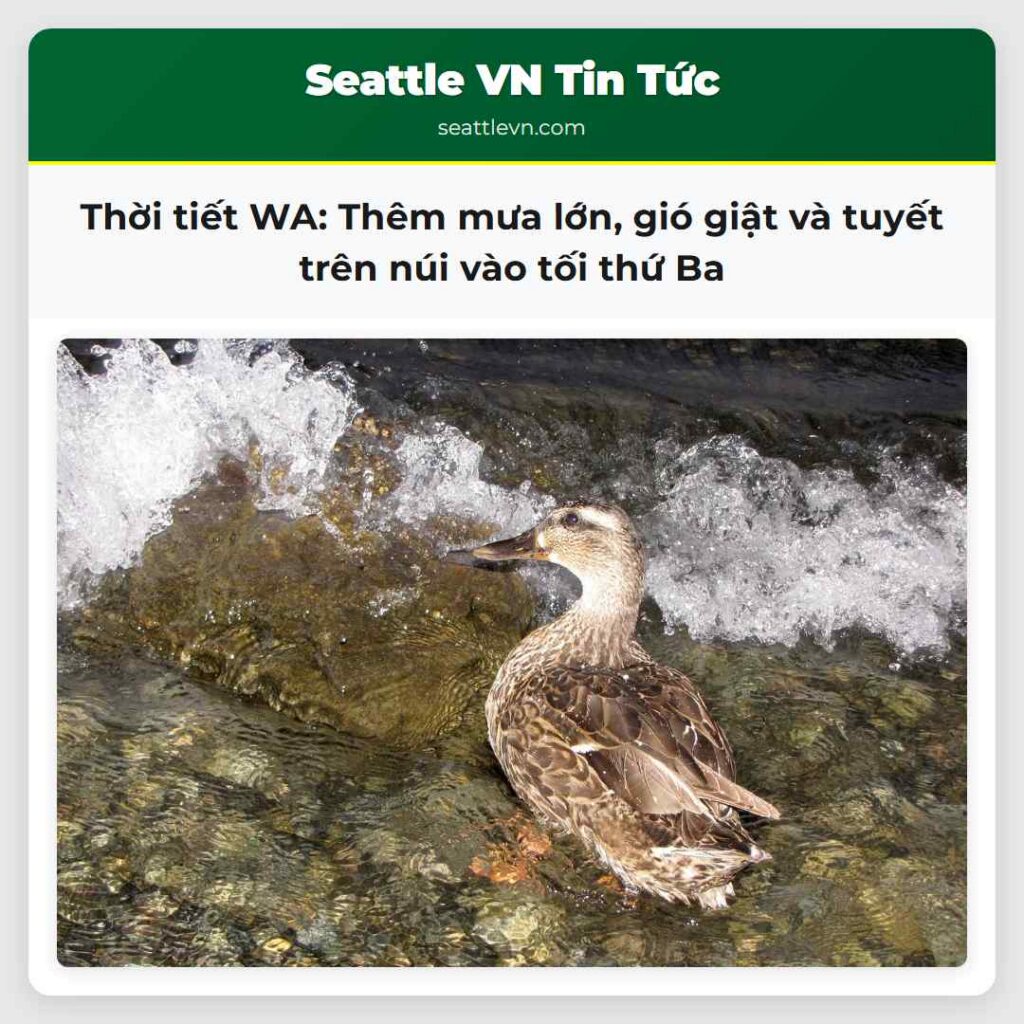 Thời tiết WA: Thêm mưa lớn, gió giật và tuyết