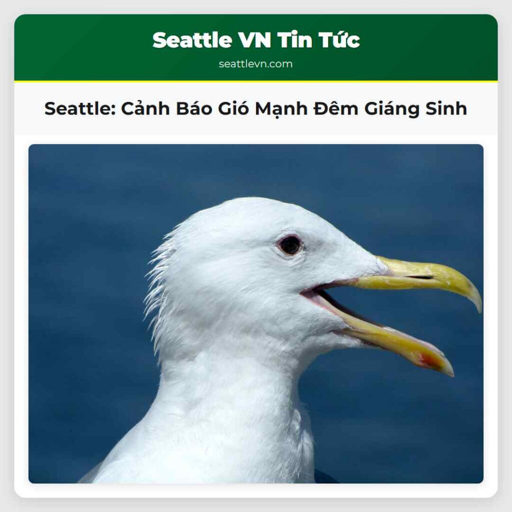 Seattle: Cảnh Báo Gió Mạnh Đêm Giáng Sinh