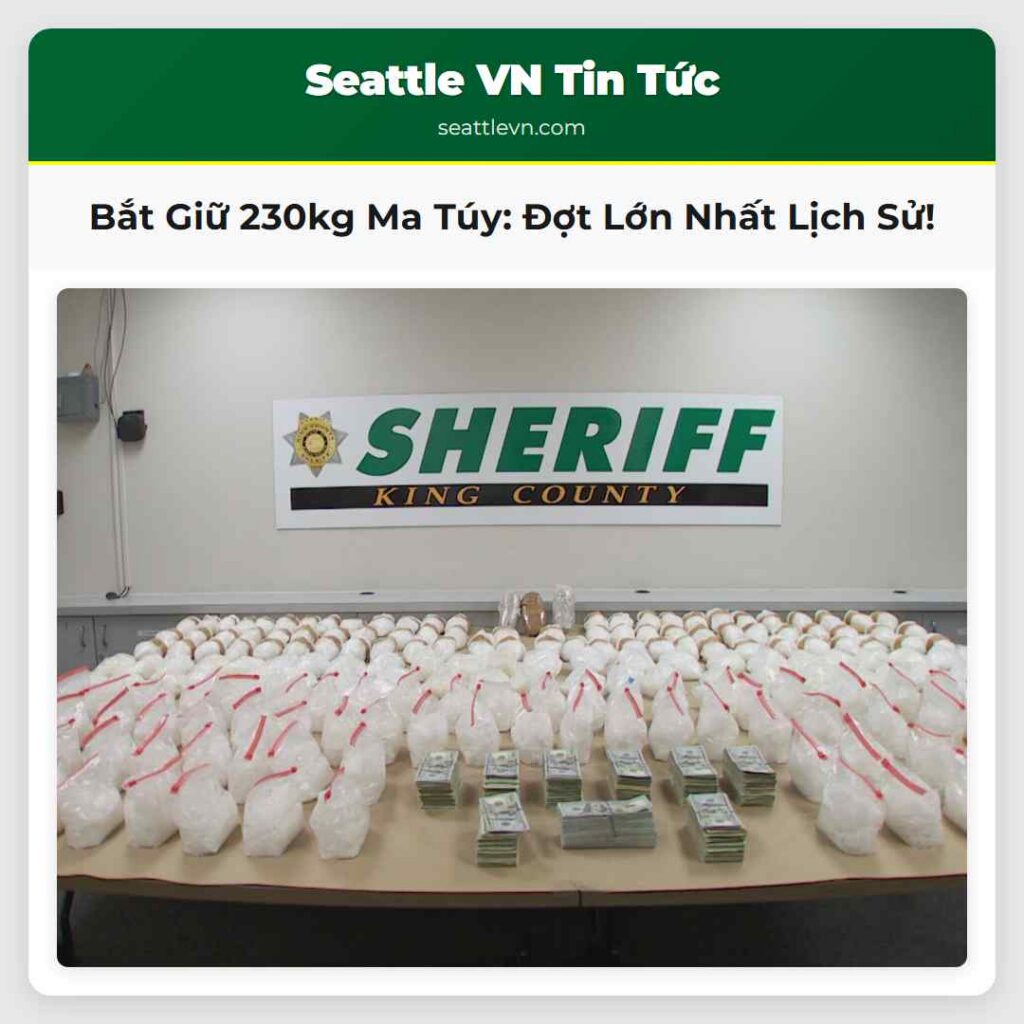 Bắt Giữ 230kg Ma Túy: Đợt Lớn Nhất Lịch Sử!