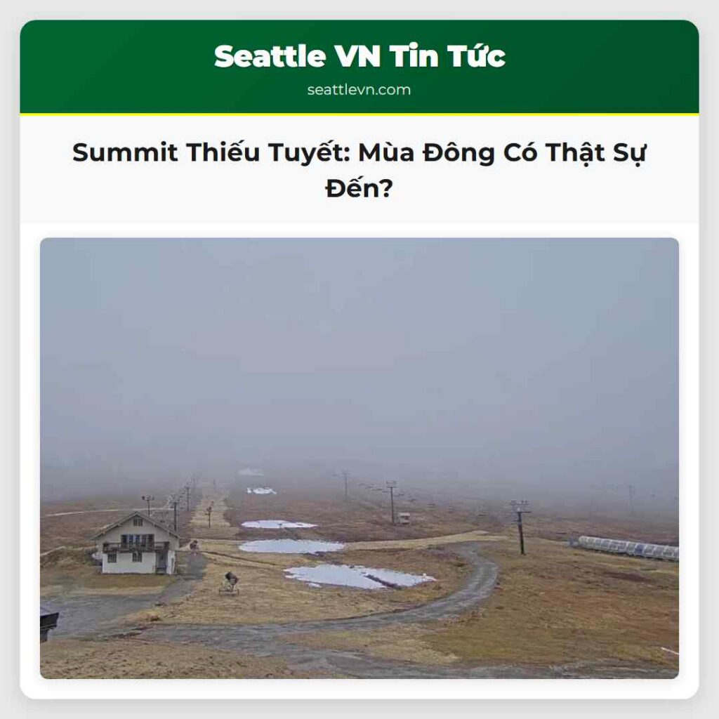 Summit Thiếu Tuyết: Mùa Đông Có Thật Sự Đến?