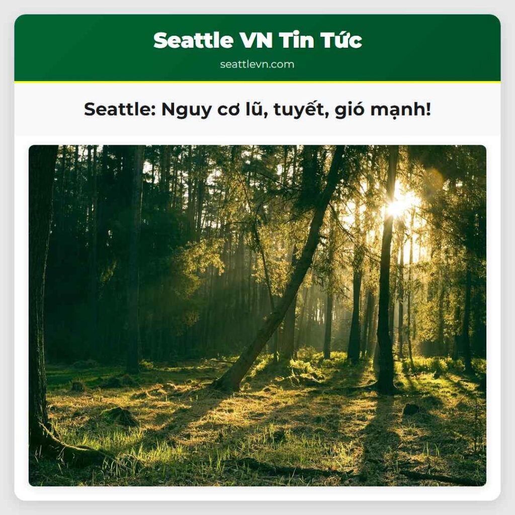Seattle: Nguy cơ lũ, tuyết, gió mạnh!