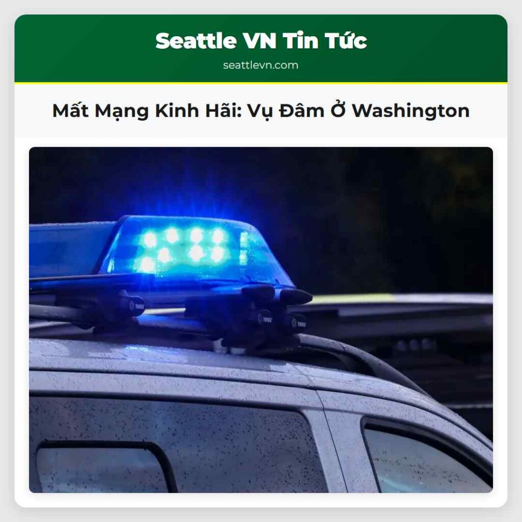 Mất Mạng Kinh Hãi: Vụ Đâm Ở Washington