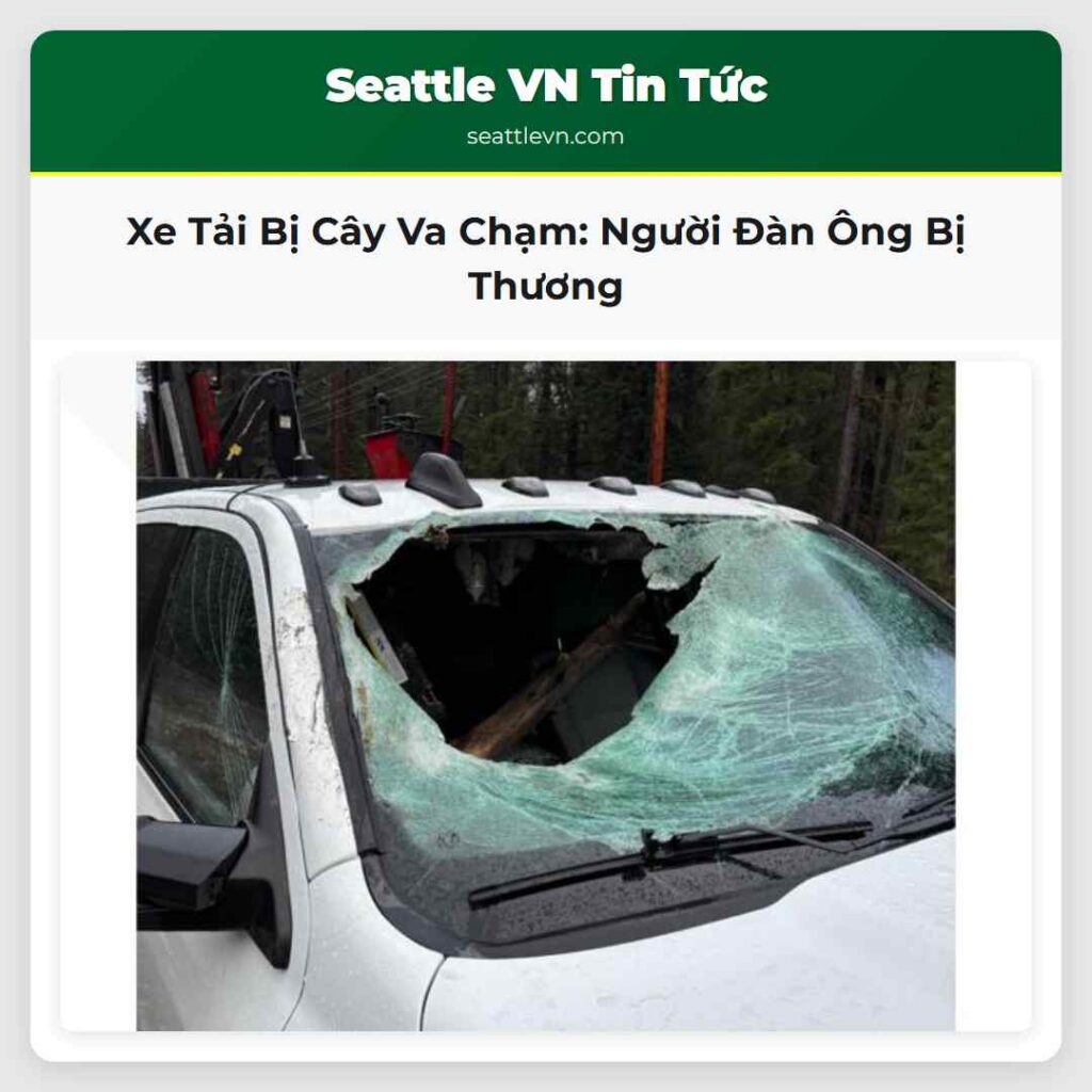 Xe Tải Bị Cây Va Chạm: Người Đàn Ông Bị Thương