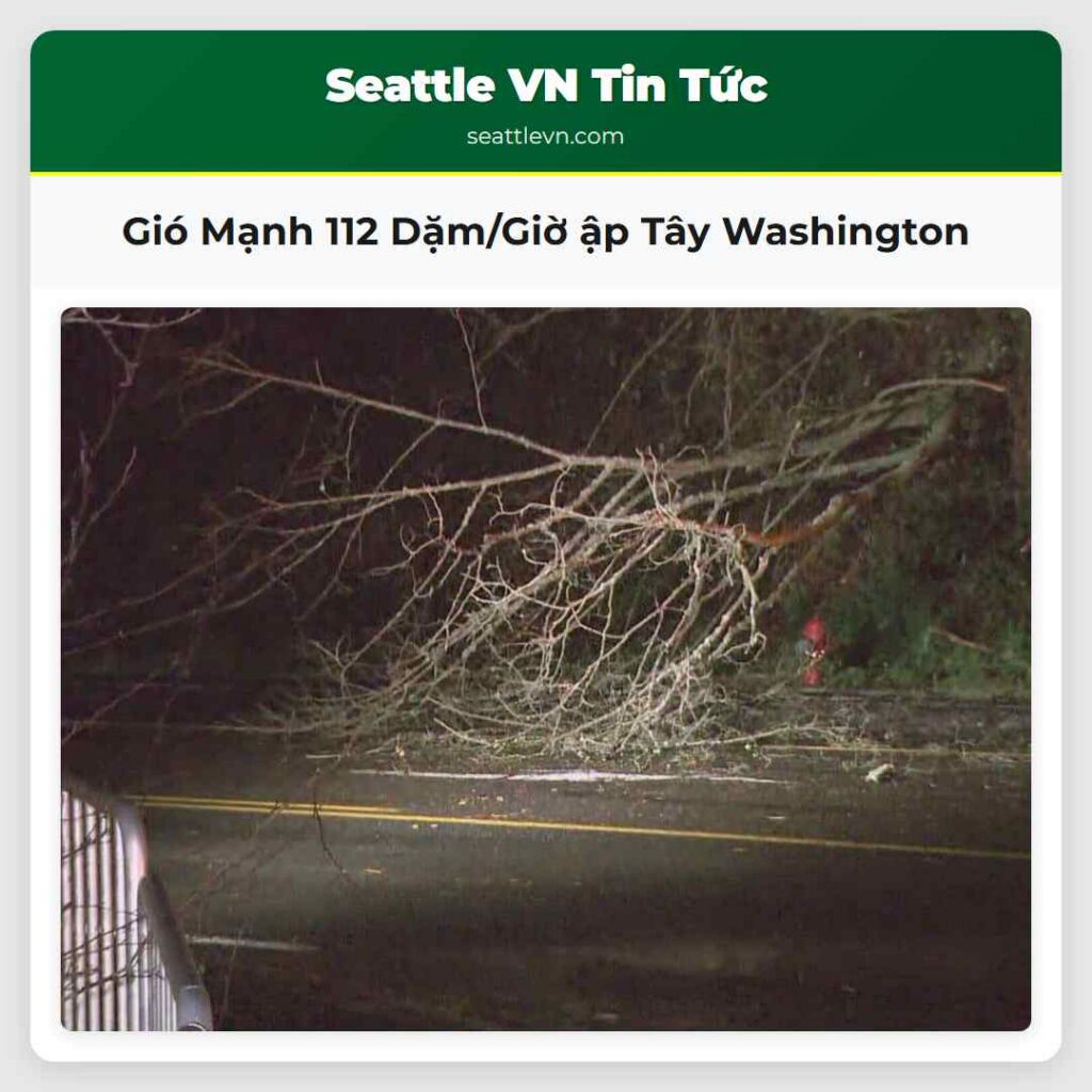 Gió Mạnh 112 Dặm/Giờ ập Tây Washington