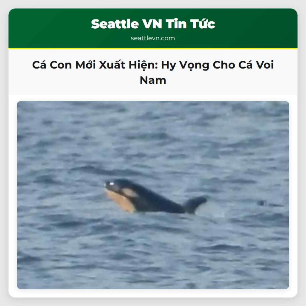 Cá Con Mới Xuất Hiện: Hy Vọng Cho Cá Voi Nam