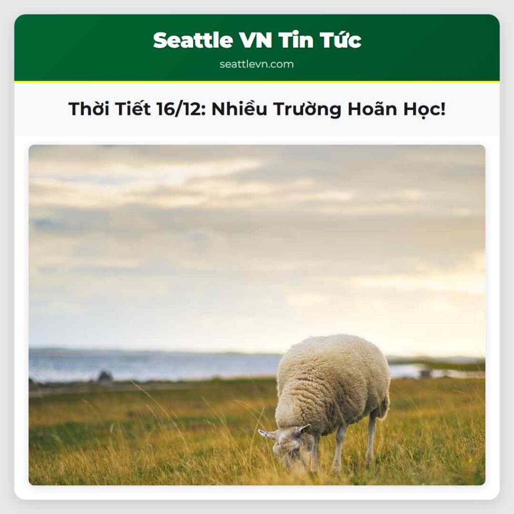 Thời Tiết 16/12: Nhiều Trường Hoãn Học!