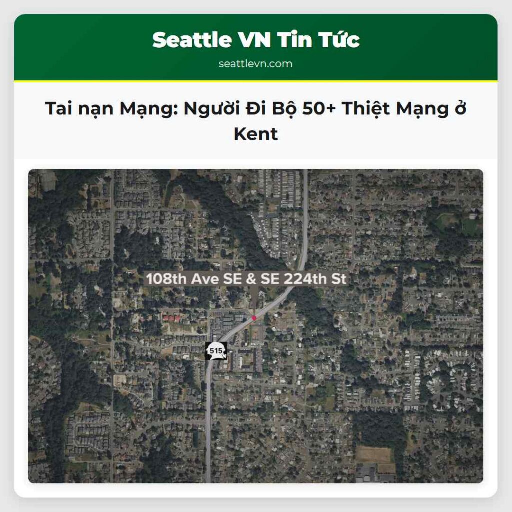 Tai nạn Mạng: Người Đi Bộ 50+ Thiệt Mạng ở Kent