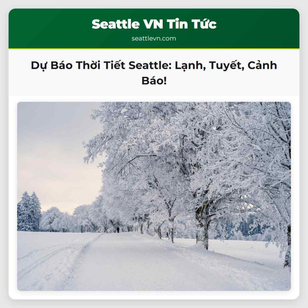 Dự Báo Thời Tiết Seattle: Lạnh, Tuyết, Cảnh Báo!