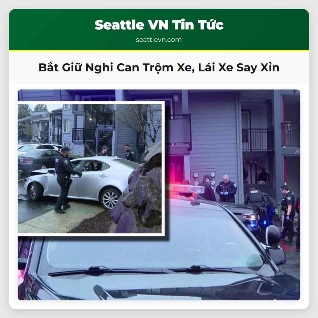 Bắt Giữ Nghi Can Trộm Xe, Lái Xe Say Xỉn