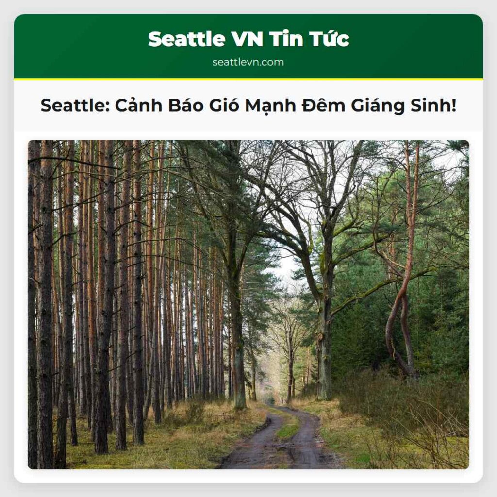 Seattle: Cảnh Báo Gió Mạnh Đêm Giáng Sinh!