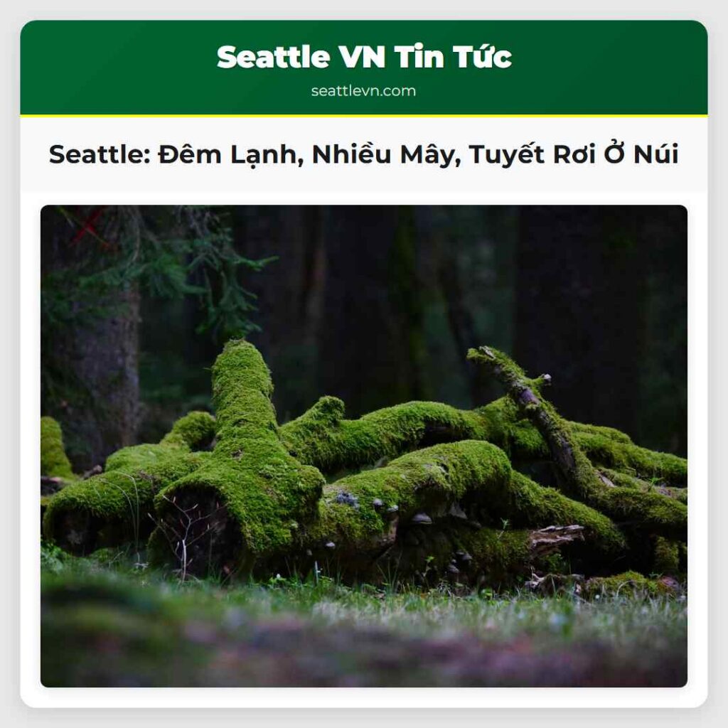 Seattle: Đêm Lạnh, Nhiều Mây, Tuyết Rơi Ở Núi
