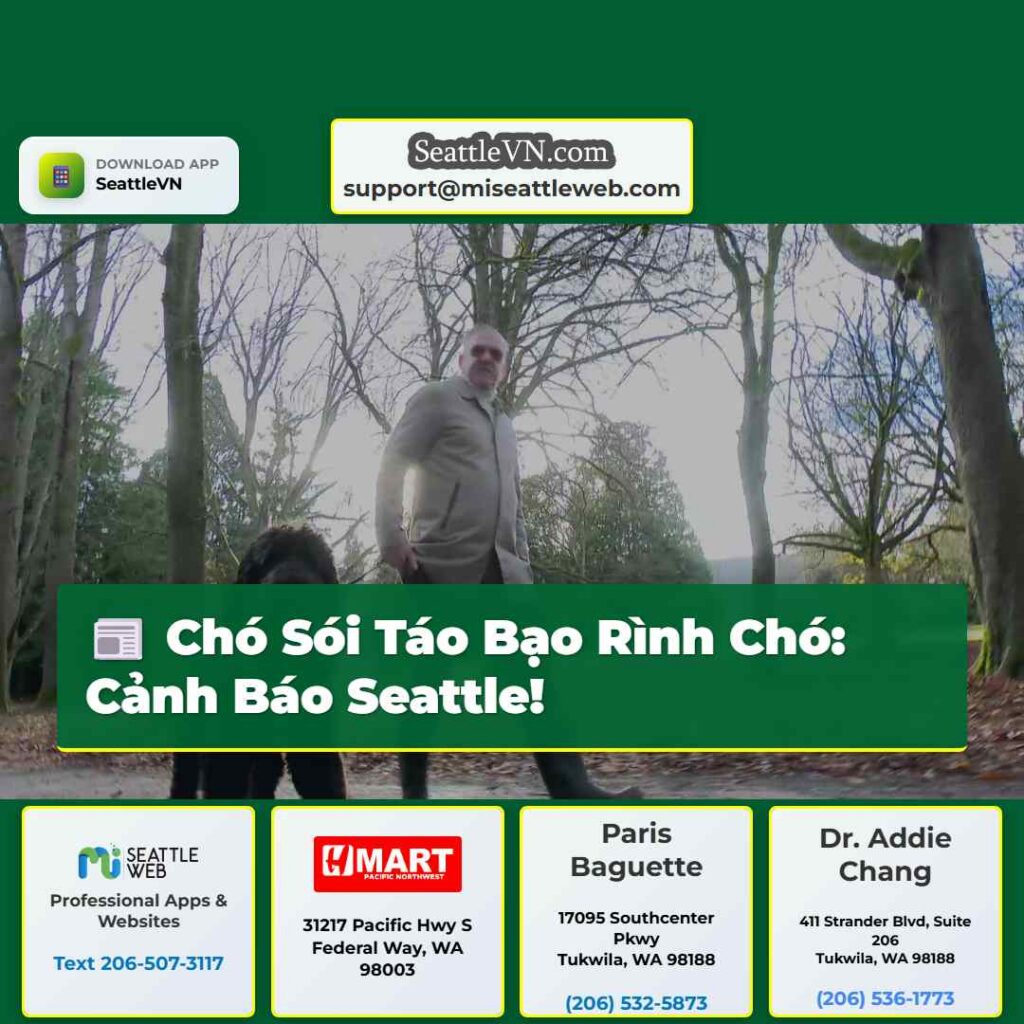 Chó Sói Táo Bạo Rình Chó: Cảnh Báo Seattle!