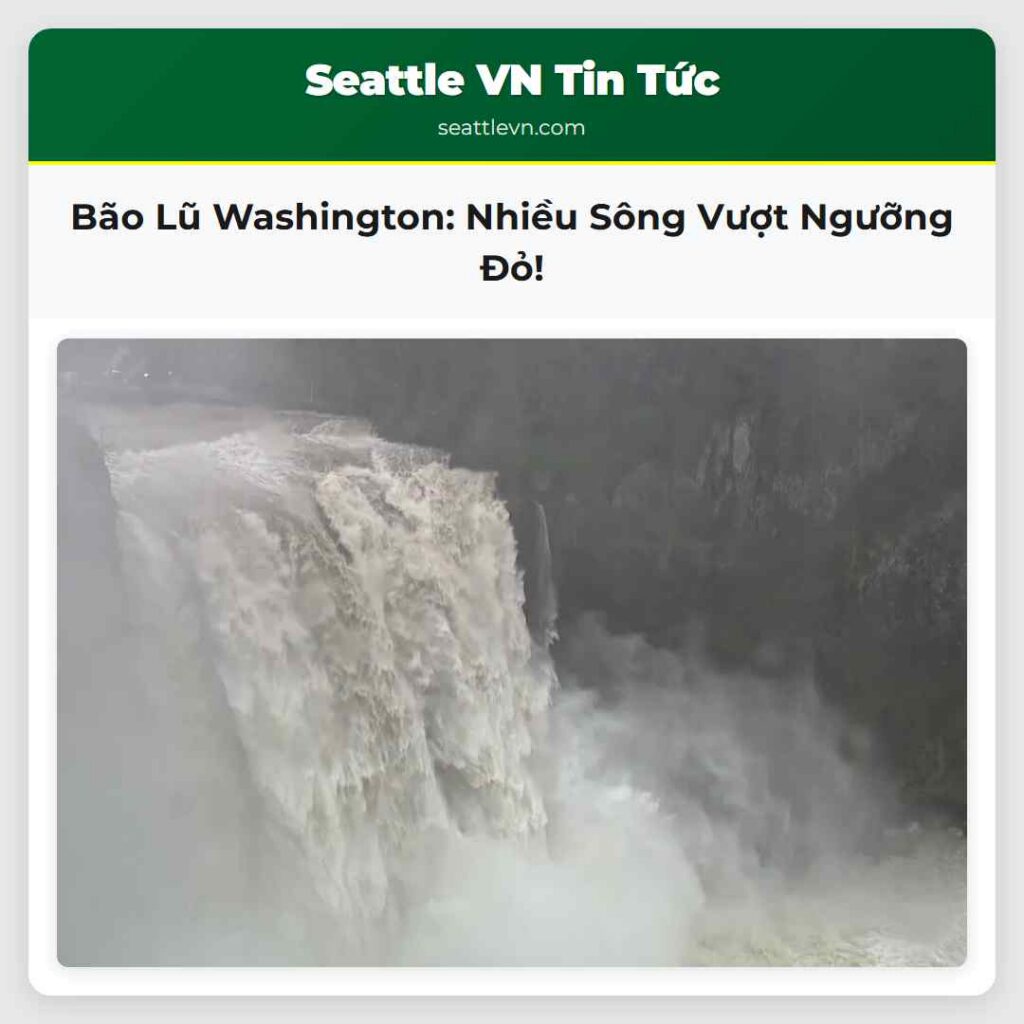 Bão Lũ Washington: Nhiều Sông Vượt Ngưỡng Đỏ!