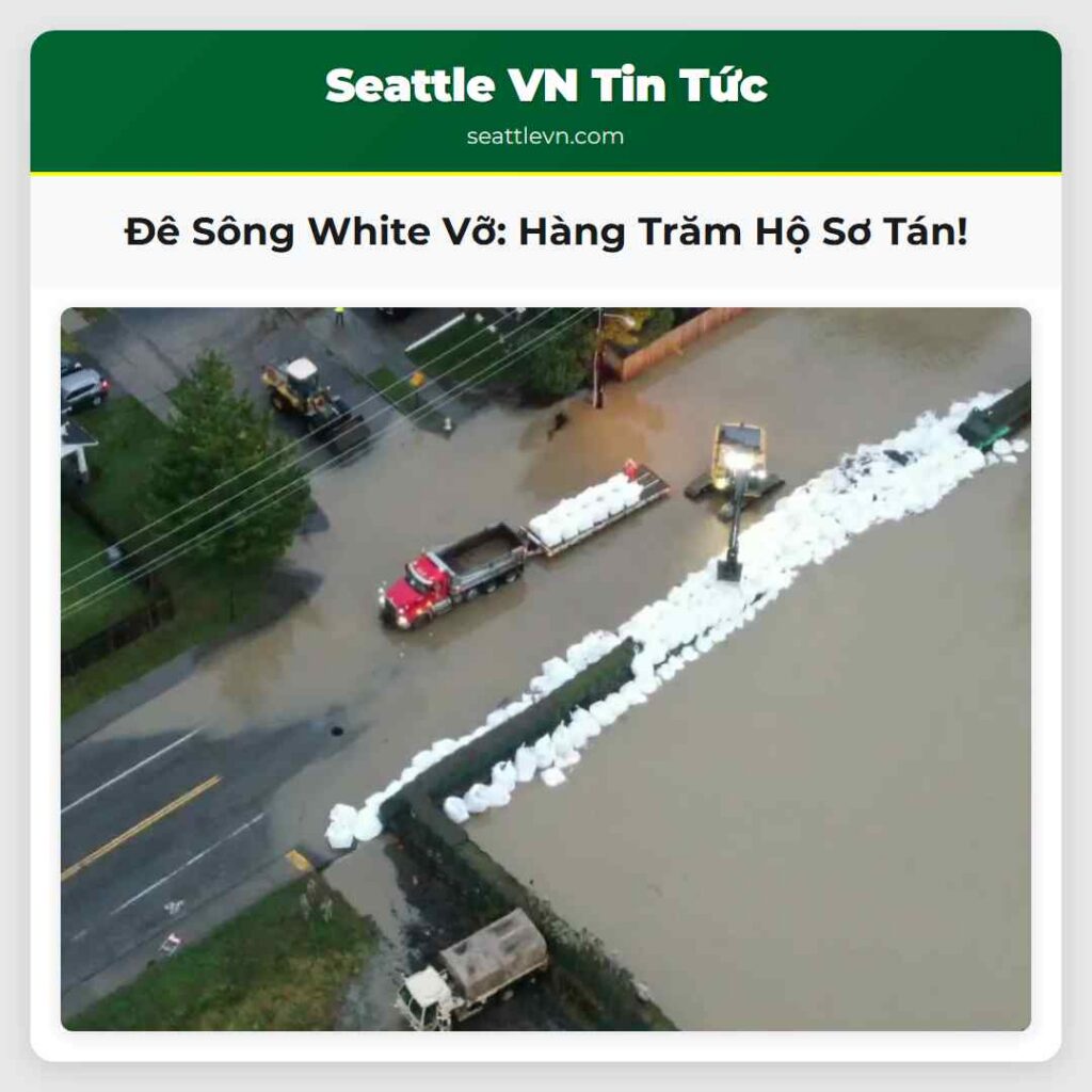 Đê Sông White Vỡ: Hàng Trăm Hộ Sơ Tán!