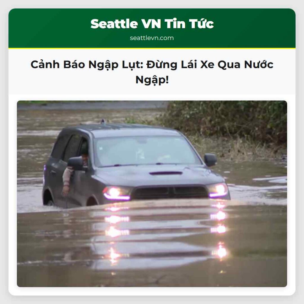 Cảnh Báo Ngập Lụt: Đừng Lái Xe Qua Nước Ngập!