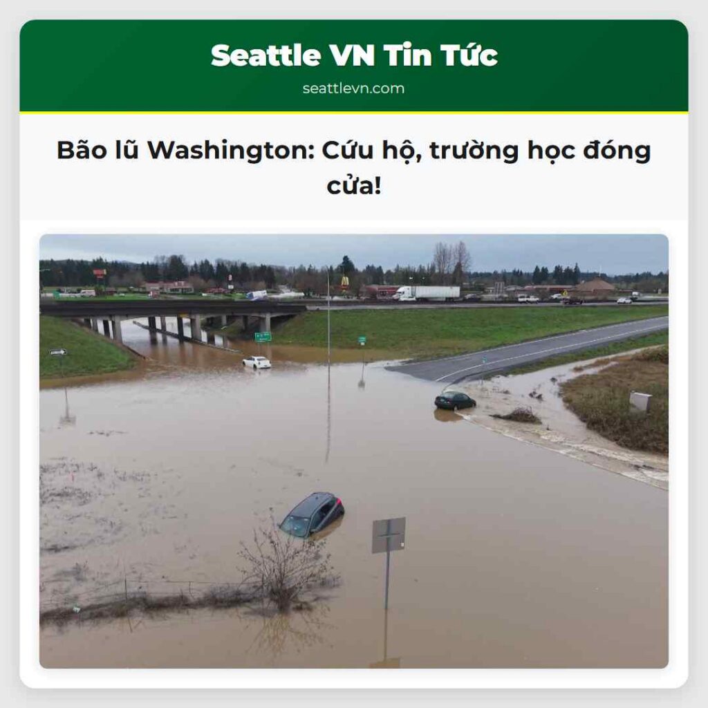 Bão lũ Washington: Cứu hộ, trường học đóng cửa!