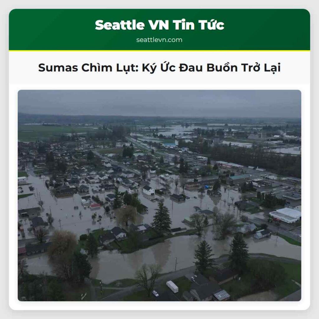 Sumas Chìm Lụt: Ký Ức Đau Buồn Trở Lại