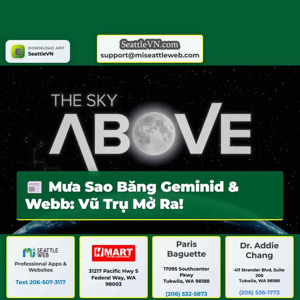 Mưa Sao Băng Geminid & Webb: Vũ Trụ Mở Ra!