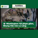 Tình hình Tội phạm Washington Xu hướng Giảm Nhưng Vẫn Trên Mức Trước Đại Dịch