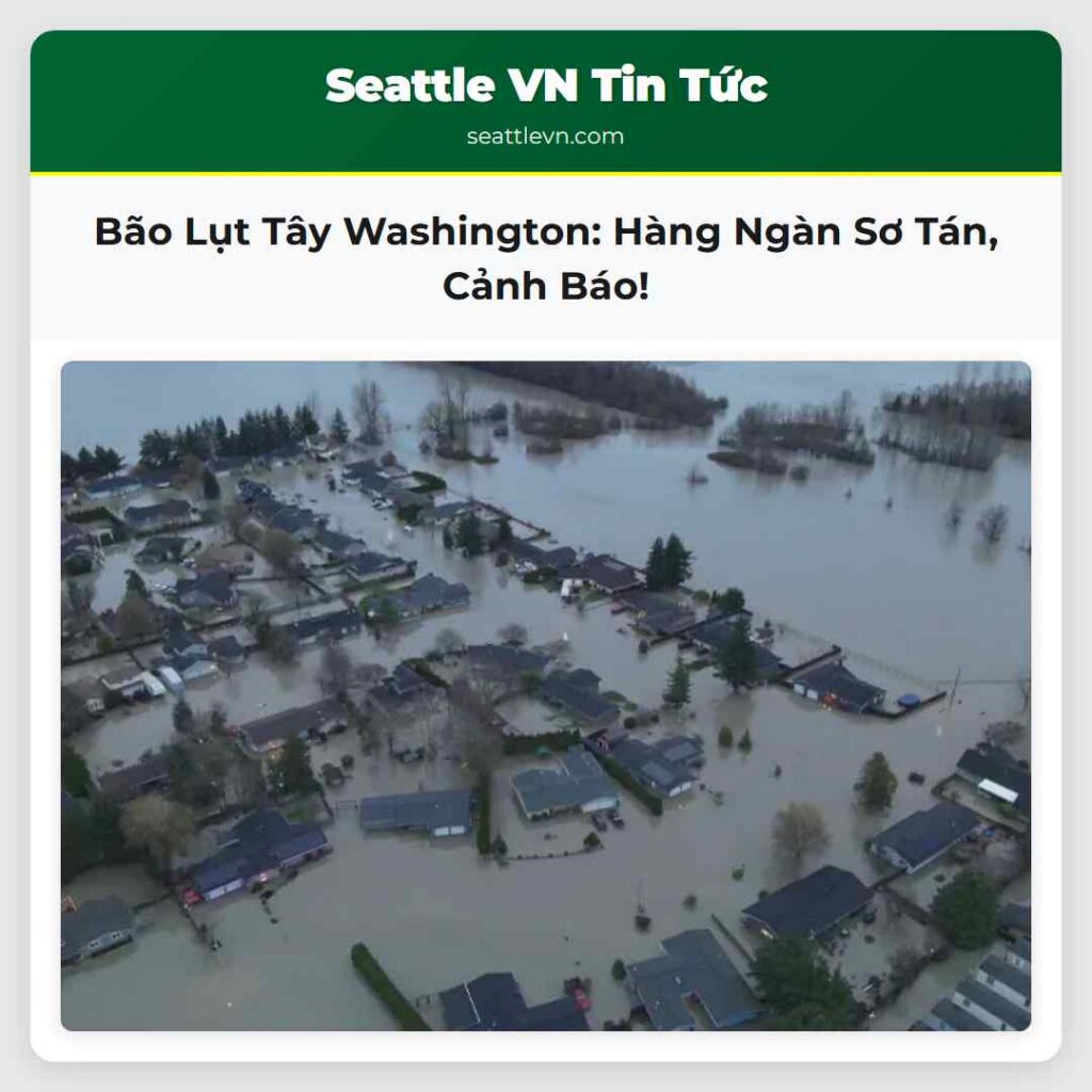 Bão Lụt Tây Washington: Hàng Ngàn Sơ Tán, Cảnh