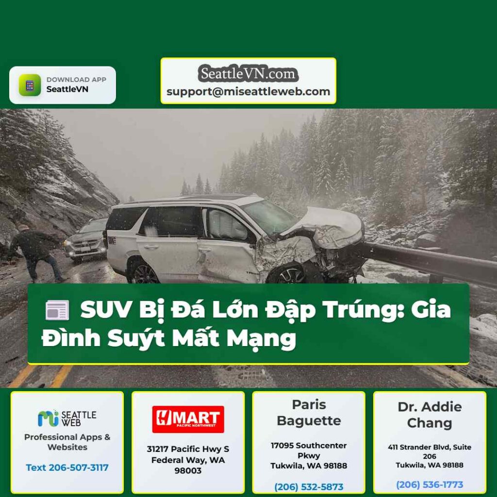 SUV Bị Đá Lớn Đập Trúng: Gia Đình Suýt Mất Mạng