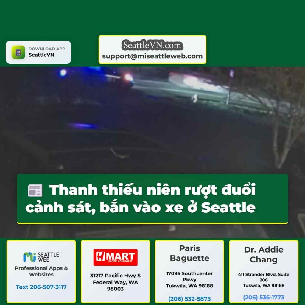 Thanh thiếu niên rượt đuổi cảnh sát, bắn vào xe ở